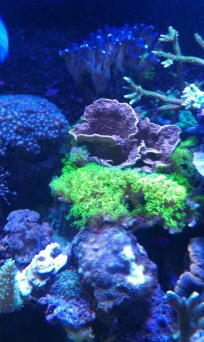 IMAG0107.jpg