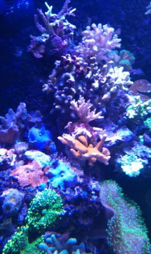 IMAG0102.jpg