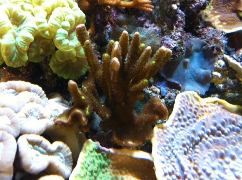 foto7.JPG