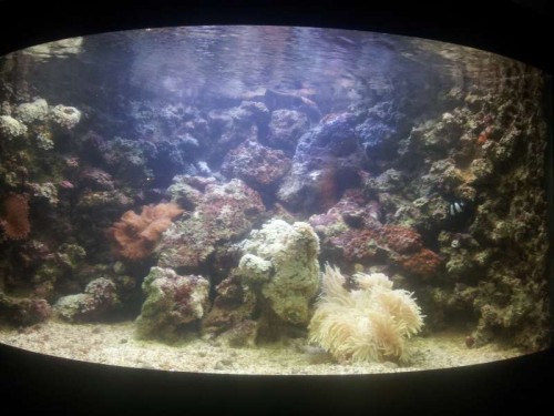 20121011_202222.jpg