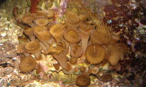 IMAG2253.jpg