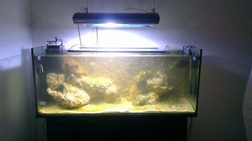 IMAG0107.jpg