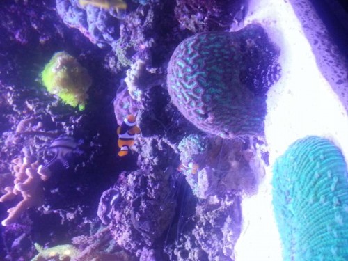 20121015_211258.jpg