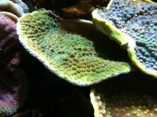 foto9.JPG