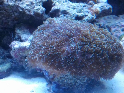 2012-10-16 19.18.14.jpg