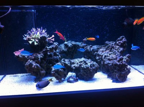 image.jpg (54.48 KiB) Vist 1617 gange Dagslys