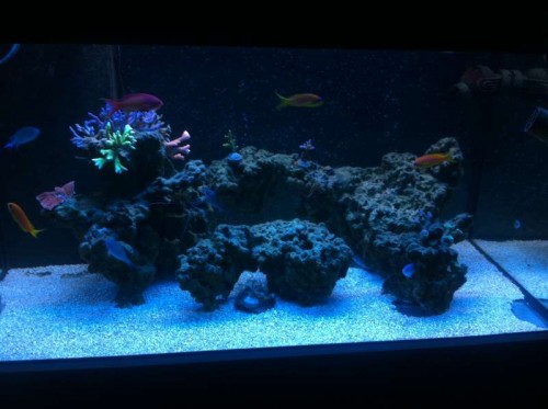 image.jpg (42.19 KiB) Vist 1617 gange Aften belysning