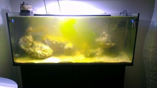 IMAG0115.jpg