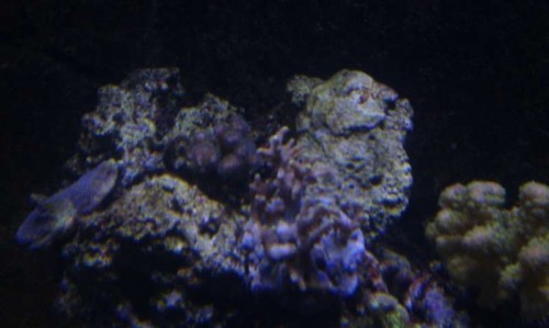 IMAG0634.jpg