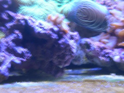 DSCN2646.JPG