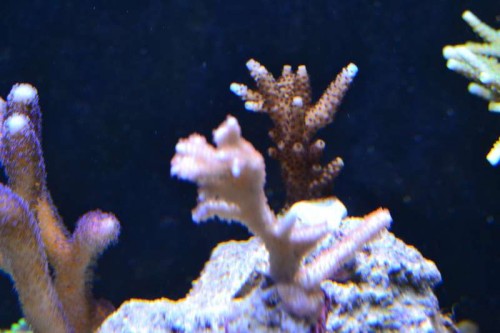 DSC_0756.JPG