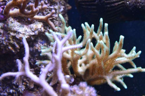 DSC_0763.JPG