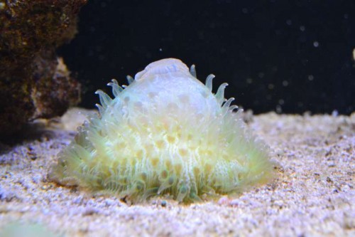 DSC_0767.JPG