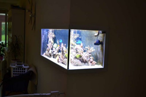DSC_0776.JPG