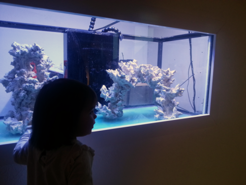 IMG_20121024_165735.png