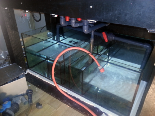 IMG_20121026_150007.png