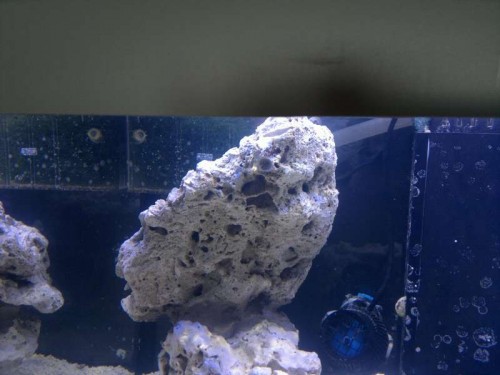 Mit lille DIY-refugium