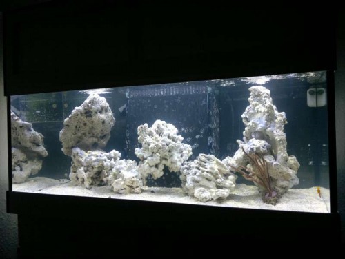 FTS (1)