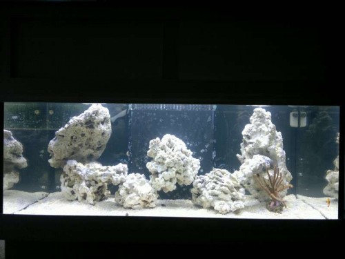 FTS (2)