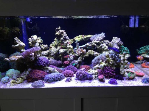 FT (Large).jpg