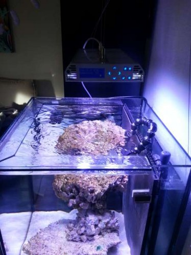 20121030_144101.jpg