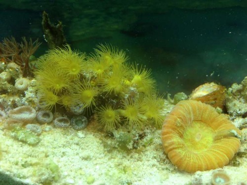 foto 3.JPG