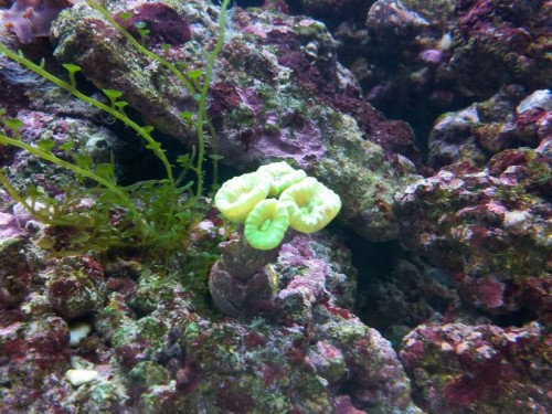 20121031_190022.jpg