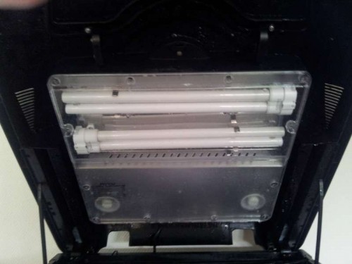 20121103_112937.jpg