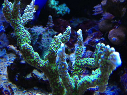 foto 3 (5).JPG