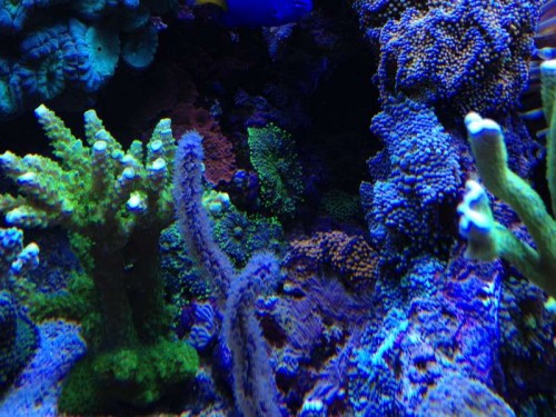 foto 4 (8).JPG