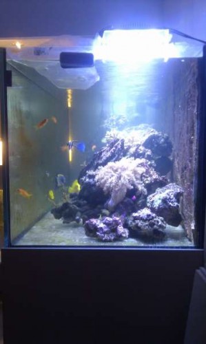 IMAG0690.jpg