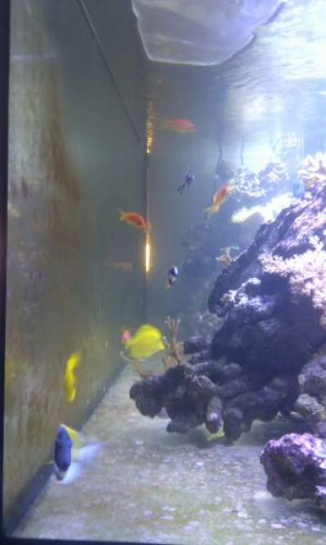 IMAG0699.jpg