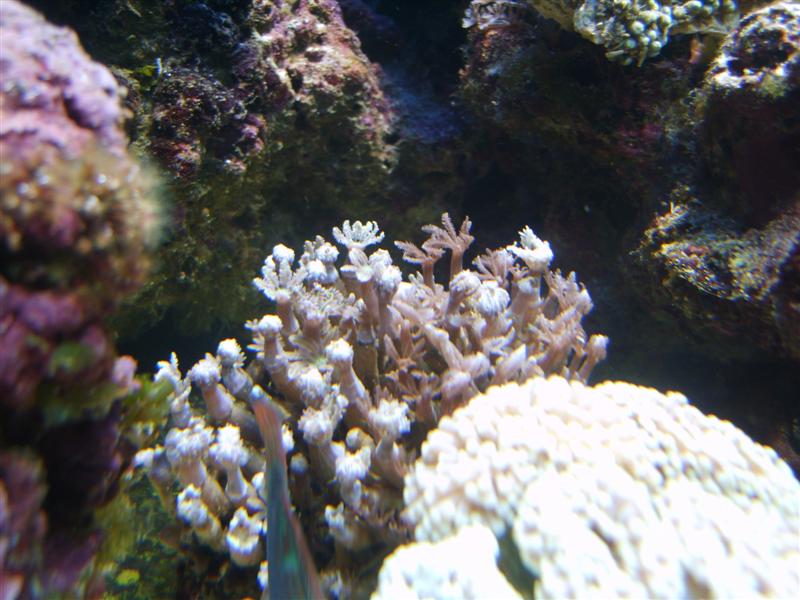 4 (Medium).JPG