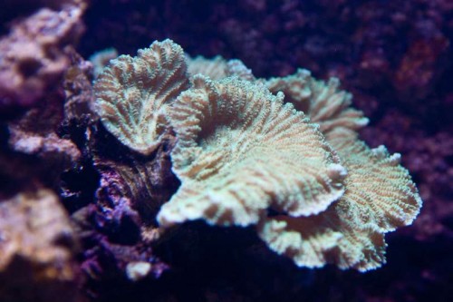 IMG_2259.jpg
