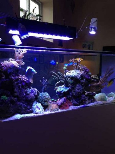 image3.jpg