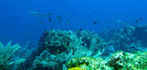 IMG_5799.JPG