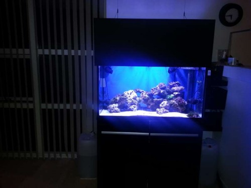 20121112_174500.jpg