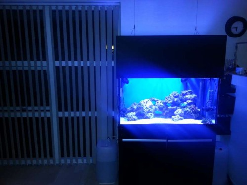 20121112_174524.jpg