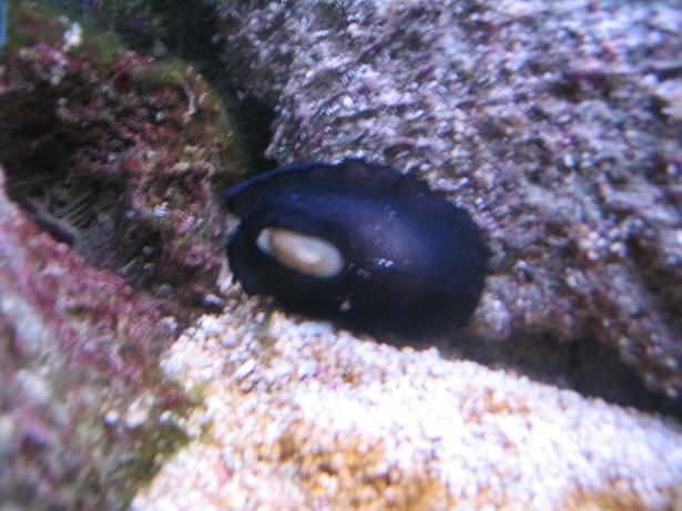 slug....hjælp!.JPG
