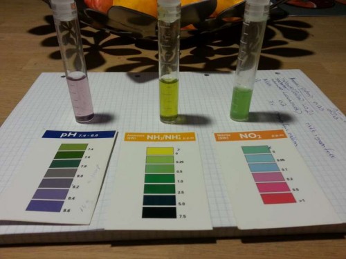 20121114_215643.jpg