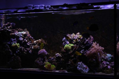 FTS