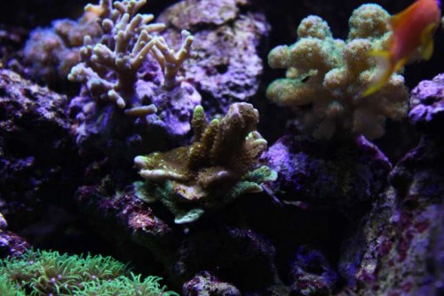 IMG_9290.JPG