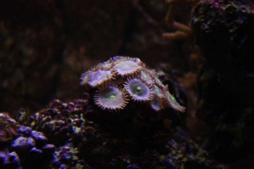 IMG_9289.JPG