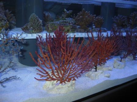 IMG_3011.jpg