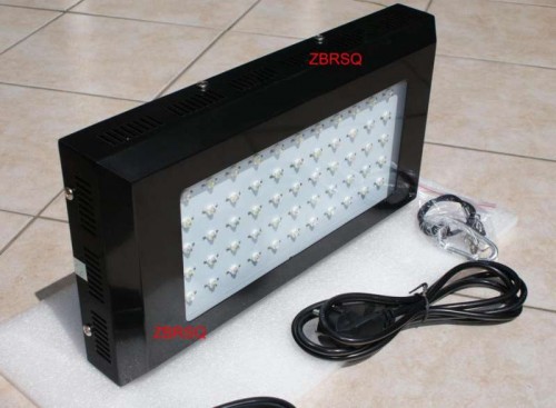 led1.jpg