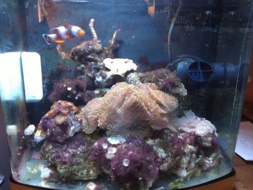 FTS