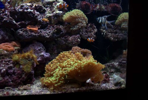 DSC07000.jpg
