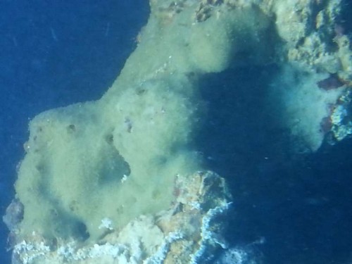 20121121_092424.jpg
