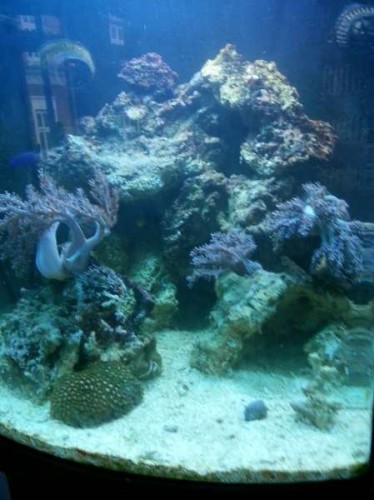 20121121_130634.jpg