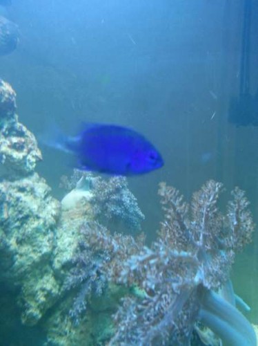 20121121_130653.jpg